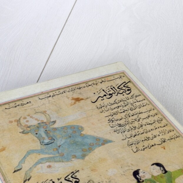 Ms E-7 fol.23a The Constellations of the Bull, the Twins and the Crab by Islamic School