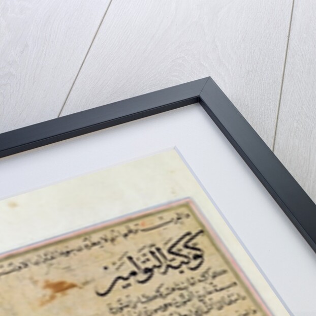 Ms E-7 fol.23a The Constellations of the Bull, the Twins and the Crab by Islamic School