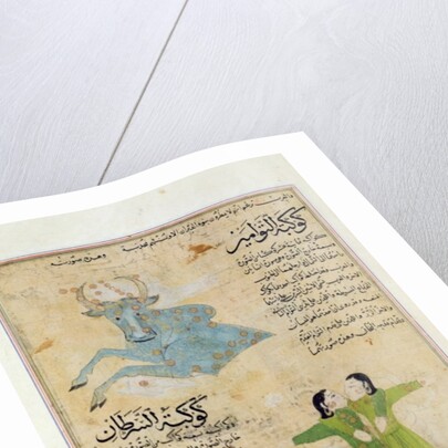 Ms E-7 fol.23a The Constellations of the Bull, the Twins and the Crab by Islamic School