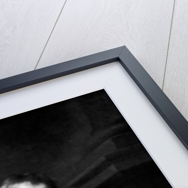 Virgin and Child by Anthony van Dyck