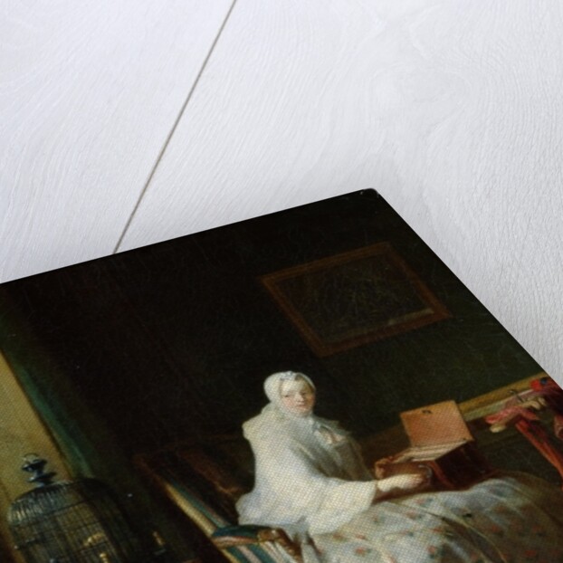 The Bird Organ or A Woman Varying Her Pleasures, 1751 by Jean-Baptiste Simeon Chardin