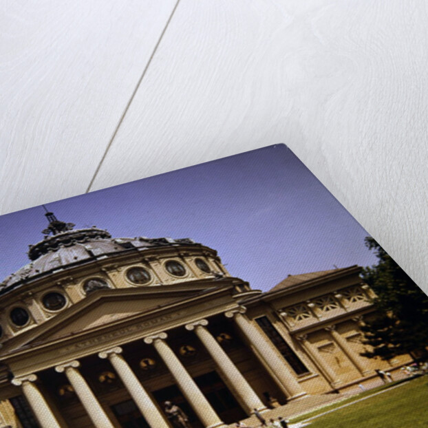 The Romanian Atheneum, Bucharest, Romania by Anonymous