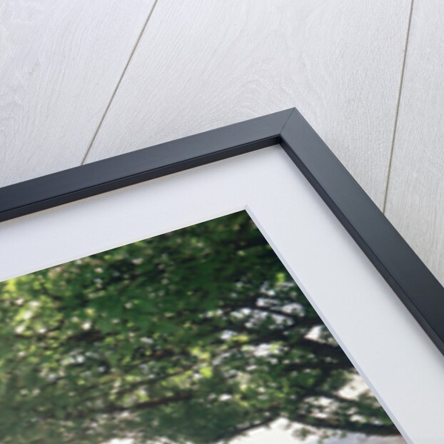 Chateau Gaillard, Les Andelys by Anonymous