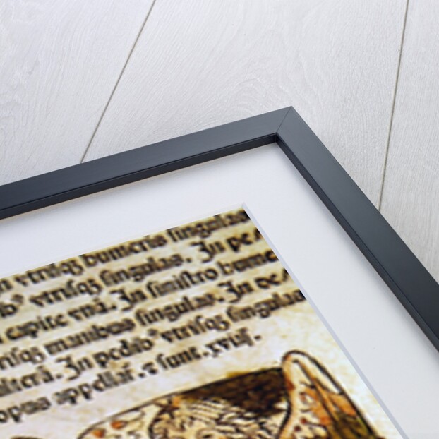 Gemini an illustration from the 'Poeticon Astronomicon' by C.J. Hyginus, Venice, 1485 by Italian School