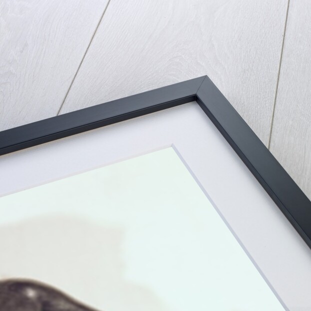 Venus Victrix, 1913 by Pierre Auguste Renoir