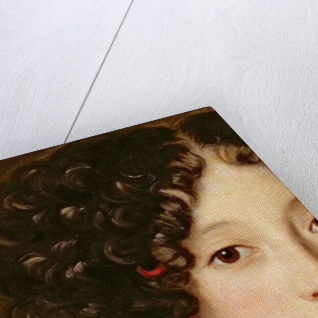 Portrait of a Woman, 17th century by Jacob Ferdinand Voet