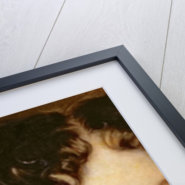 Portrait of a Woman, 17th century by Jacob Ferdinand Voet