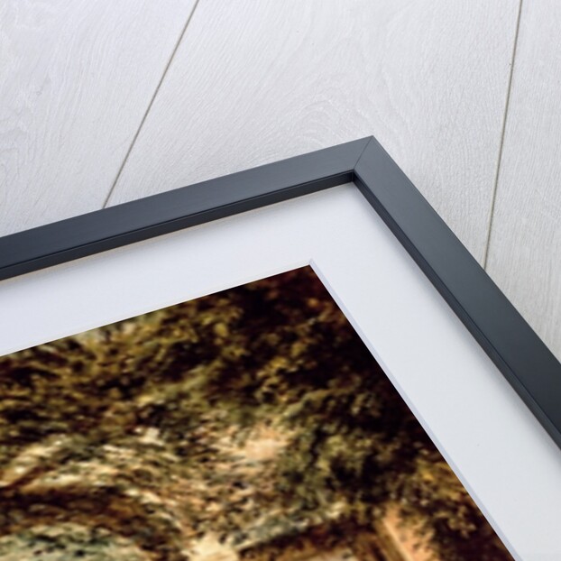 The Gardens of the Villa Medici in Rome, c.1650-51 by Diego Rodriguez de Silva y Velazquez