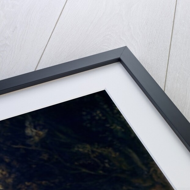 The Taking of Christ, 1618-20 by Anthony van Dyck