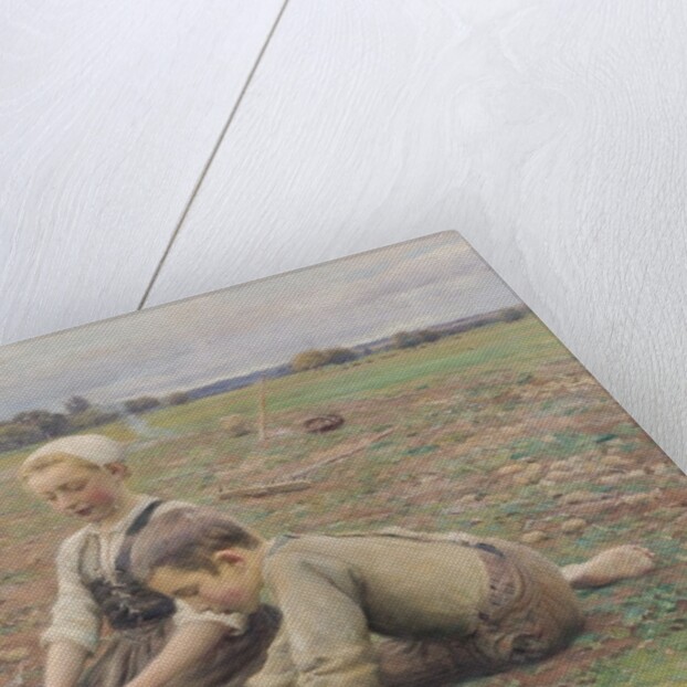 The Potato Gatherers, 1898 by Jose Julio de Souza Pinto
