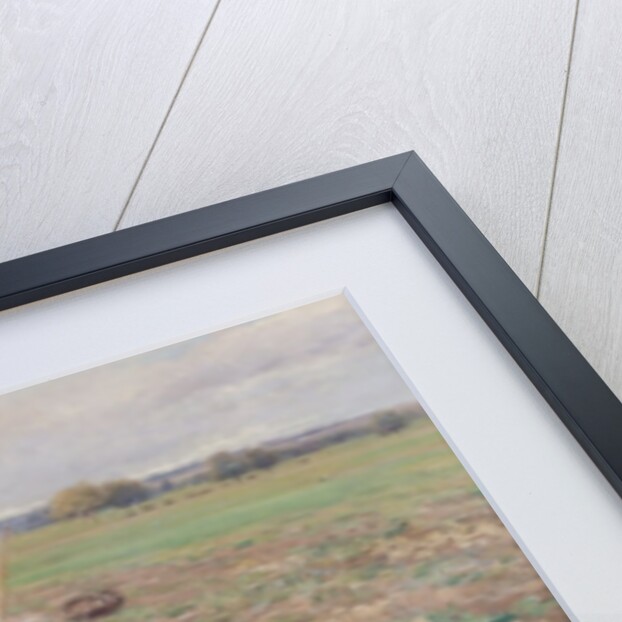 The Potato Gatherers, 1898 by Jose Julio de Souza Pinto