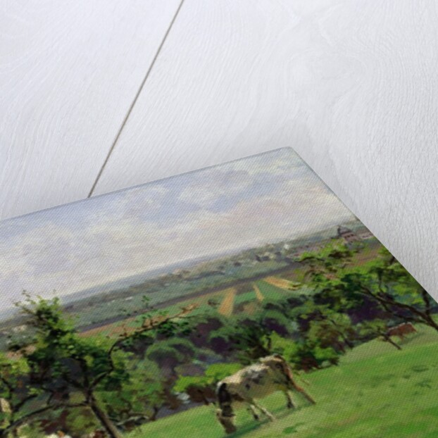 Hillside of Vesinet, Yvelines, 1871 by Camille Pissarro