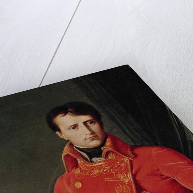 Bonaparte as First Consul, 1804 by Jean Auguste Dominique Ingres