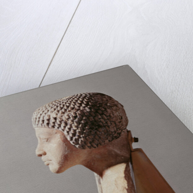 Left profile of the head of a Princess from the family of Akhenaten, New Kingdom by Egyptian 18th Dynasty