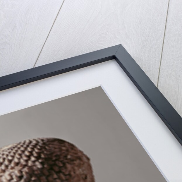 Left profile of the head of a Princess from the family of Akhenaten, New Kingdom by Egyptian 18th Dynasty