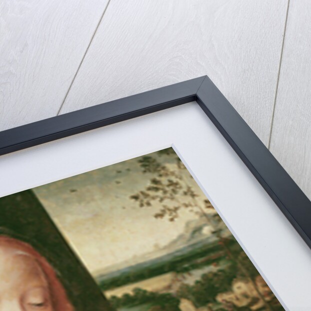 Virgin and sleeping Child by Joos van Cleve