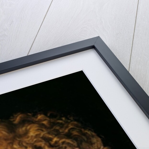 Adam and Eve, detail of Adam's head by Lucas the Elder Cranach