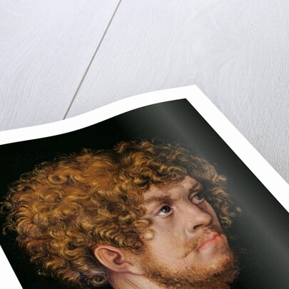 Adam and Eve, detail of Adam's head by Lucas the Elder Cranach