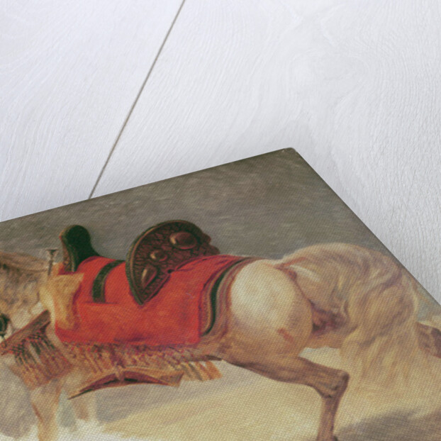 Horse of Mustapha-Pacha by Baron Antoine Jean Gros