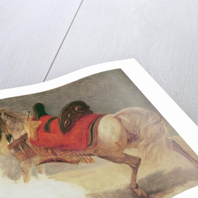 Horse of Mustapha-Pacha by Baron Antoine Jean Gros