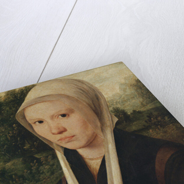 Portrait of a young woman, c.1530 by Dirk Jacobsz