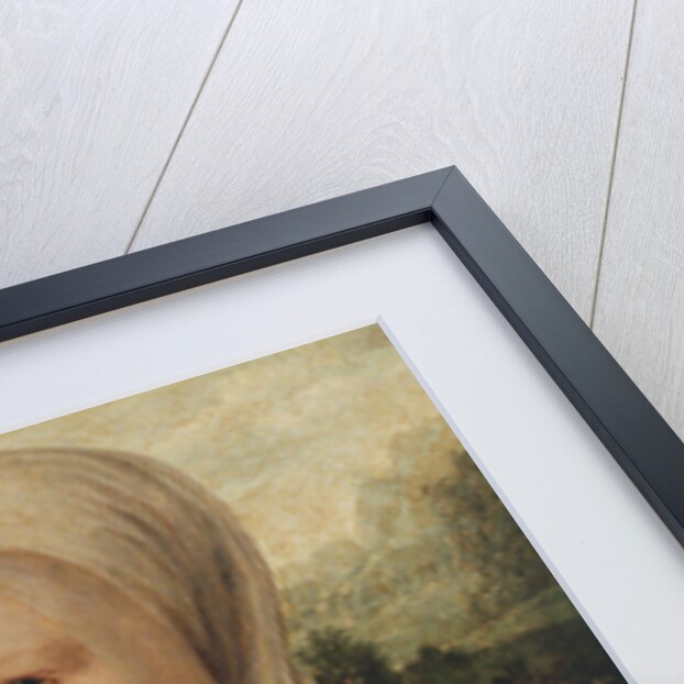 Portrait of a young woman, c.1530 by Dirk Jacobsz