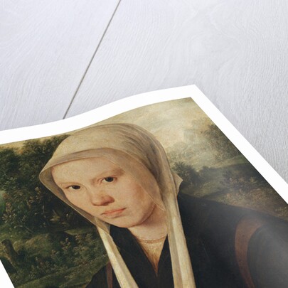 Portrait of a young woman, c.1530 by Dirk Jacobsz