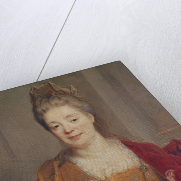 Mrs. Titon du Tillet by Nicolas de Largilliere