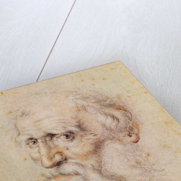 Portrait of a bearded old man by Albrecht Dürer or Duerer