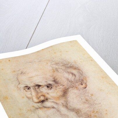 Portrait of a bearded old man by Albrecht Dürer or Duerer