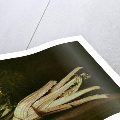 Cardoon and Cabbage by Spanish School