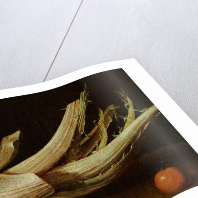 Cardoon ,oranges and knife by Spanish School