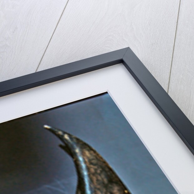 Mask of Janus, Ibo or Igala by Nigerian School