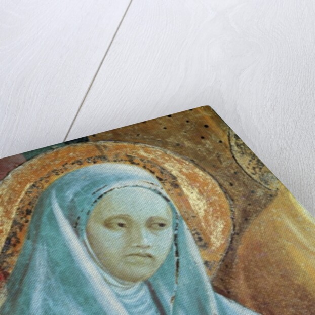 Head of Saint Anne from the Presentation of Mary in the Temple, 1433-34 by Paolo Uccello