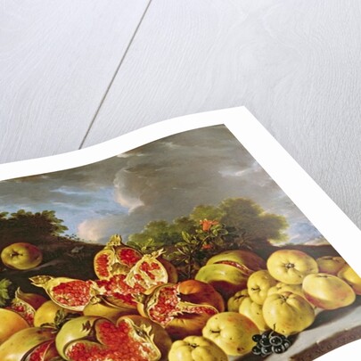 Still Life with pomegranates, apples, cherries and grapes by Luis Egidio Menendez or Melendez