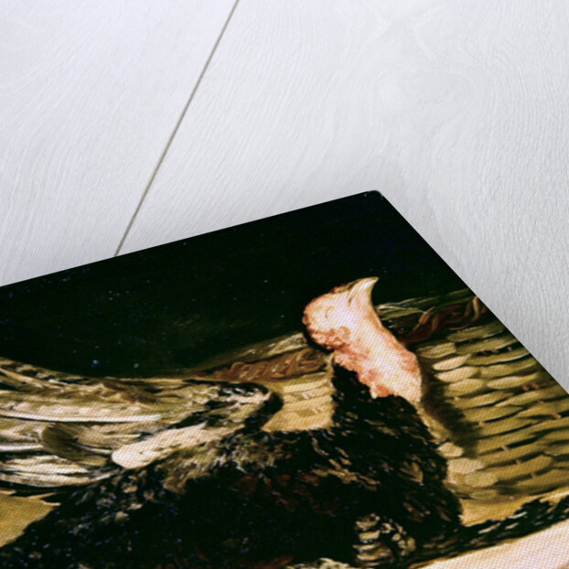 Still Life of a dead turkey and a wicker basket, 1806 by Francisco Jose de Goya y Lucientes