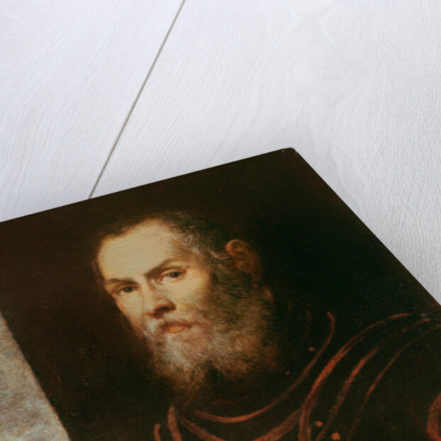 Portrait of an Admiral by Domenico Robusti Tintoretto