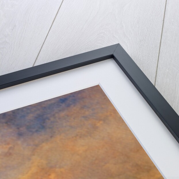 Sunset on the plain, c.1868 by Auguste Francois Ravier