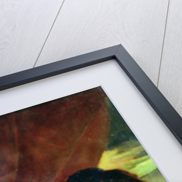 Still life of fruit by Nicolas de Largilliere