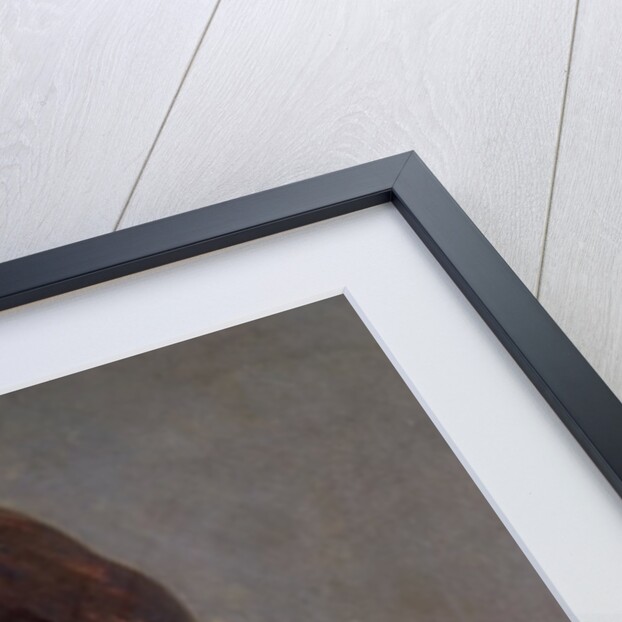 Portrait of a young girl. c. 1795 by Jacques Louis David