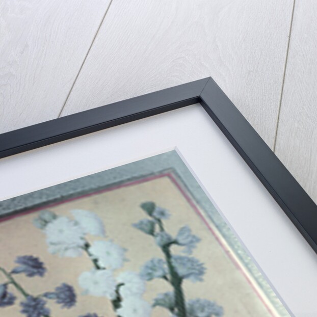 T.K.Hazine 413 Two Hyacinths, 1736 by Turkish School