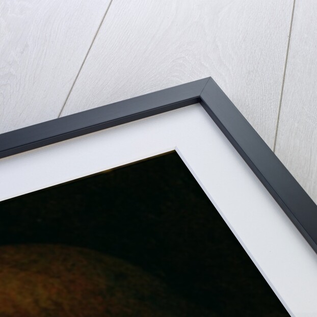 Sigismondo Malatesta by Piero della Francesca