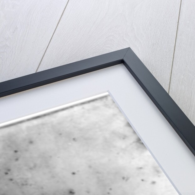 Edgar Quinet, 1833 by Sebastien Melchior Cornu