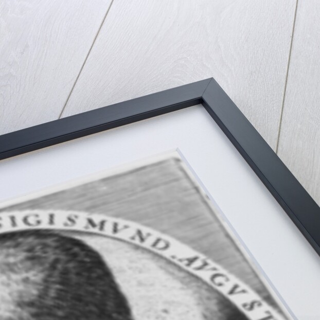 Sigismund II Augustus, King of Poland and Grand Duke of Lithuania by Dominicus or Custodis Custos