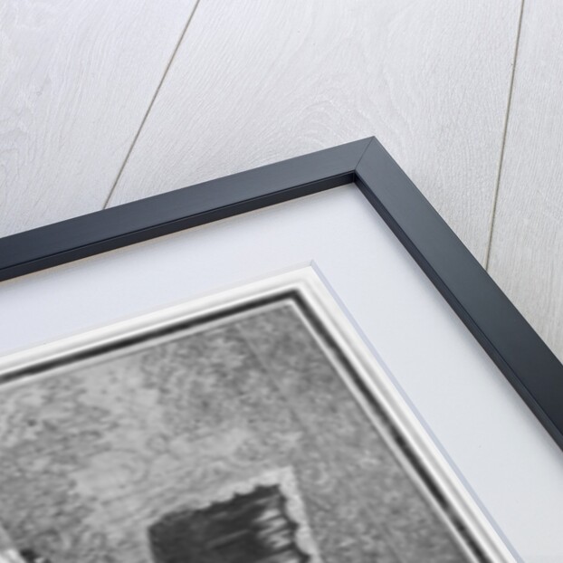 Mademoiselle de Mennetoud playing the harpsichord by Nicolas Bonnart