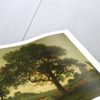 The Pond Oaks by Theodore Rousseau