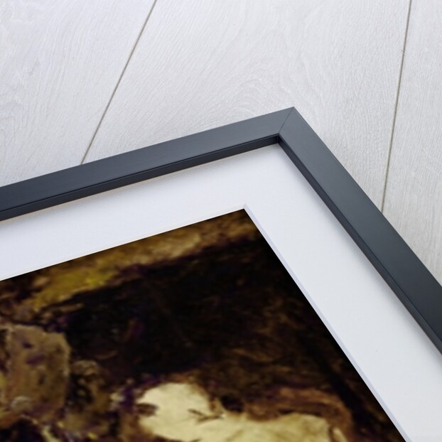 The Shoemaker of Reville, a town near Cherbourg by Guillaume Romain Fouace