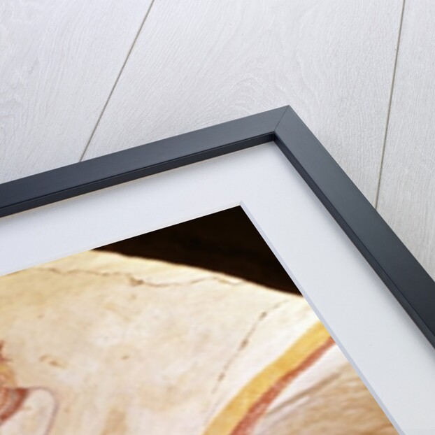 David playing on the harp by French School