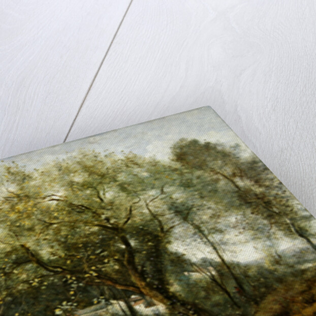 Le Catalpa, memory of Ville-d'Avray, 1869 by Jean Baptiste Camille Corot