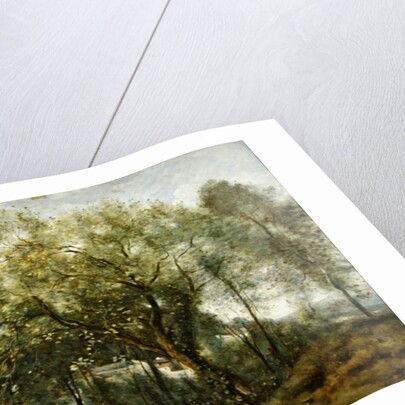 Le Catalpa, memory of Ville-d'Avray, 1869 by Jean Baptiste Camille Corot